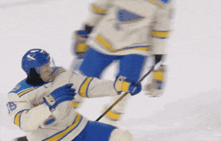 Winter Classic Sport GIF by St. Louis Blues