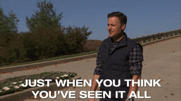 Reality Show Wow GIF by The Bachelor