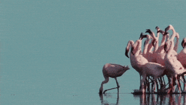 Saturday Morning Weekend GIF by Pukkelpop