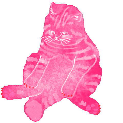 Cat Heart Sticker