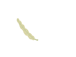 Plant Sticker