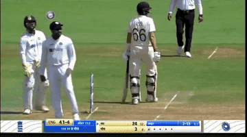 Cricket GIF