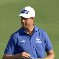 English Yes GIF by Travelers Championship