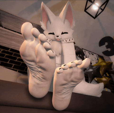 Feet Silly Cat GIF