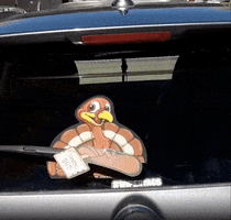 Thanksgiving Givethanks GIF by WiperTags Wiper Covers