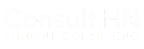 Consult.HN Sticker