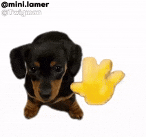 Dog Hello GIF