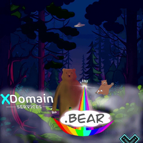 Domain GIF by XDomain Services