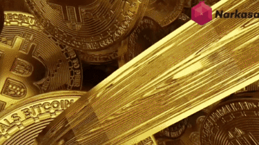 Bitcoin Crypto GIF by narkasa thumbnail