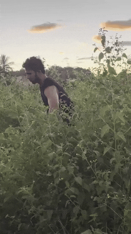 Humor Comedia GIF