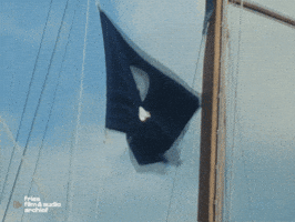 Pirate Crossbones GIF by Fries Film & Audio Archief