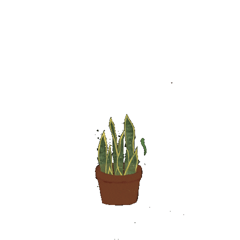 Plants Sticker