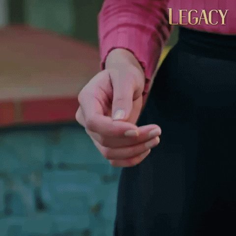 Legacy Emanet GIF by Eccho Rights
