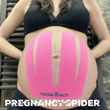 Spidertechtape GIF