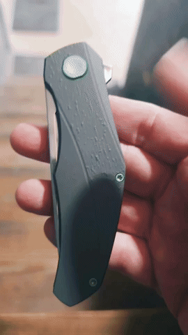 Renegade GIF