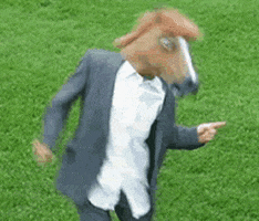 horse mask GIF