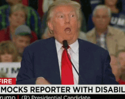 trump disability GIF