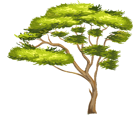 Source: NSW Department of Planning, Industry and Environment