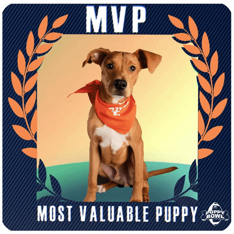Most Valuable Player Football GIF by Puppy Bowl