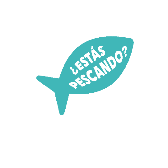 Fiesta Petinn Sticker by petinnmexico