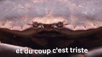 Sad GIF
