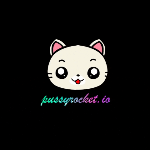 PussyRocket GIF