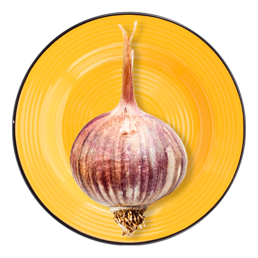 dorotsimplycook Sticker