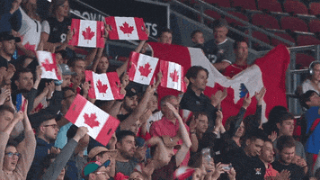 United Love GIF by Volleyball World