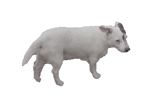 Tara Kalf Sticker by Aniways