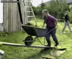 Wheelbarrow GIFs - Get the best GIF on GIPHY