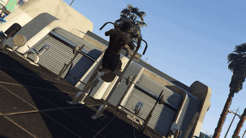 giphy.gif