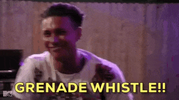 Mtv Grenade GIF by Jersey Shore Family Vacation