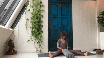 Yoga Point Den Bosch GIF