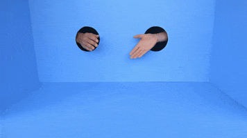 Lindyhengst GIF