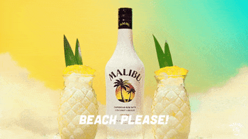 Pina Colada Summer GIF by Malibu Rum