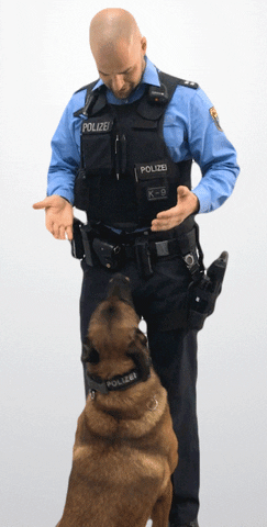 Dog Hund GIF by Polizei Hessen Karriere