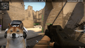 yaah twitch cs go theonemanny GIF