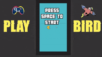 Bird GIF