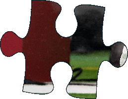 Snf Texans Puzzle Sticker by Sunday Night Football