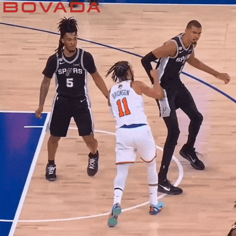 Jalen Brunson No Call GIF by Bovada