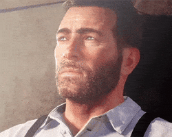 Red Dead Redemption Arthur GIF