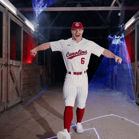 Home Run Celebration GIF by Gamecock Athletics