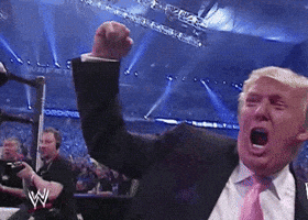 Fight GIF
