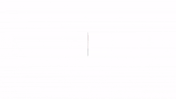 GIF by Mini Studio