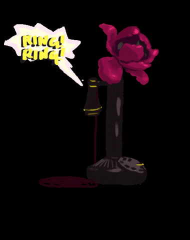 Flower GIF