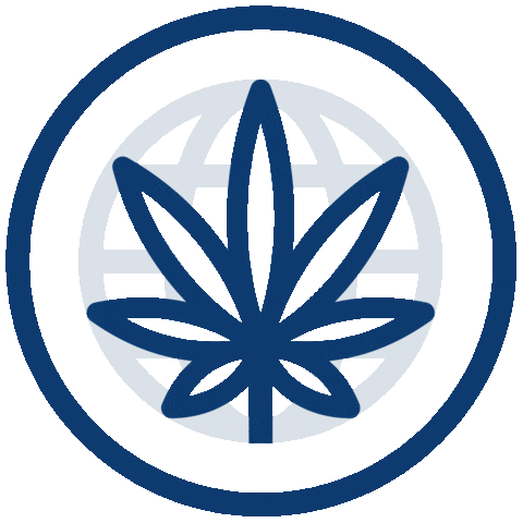 Line Map Sticker by AWE Collective