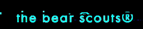 The Bear Scouts® GIF