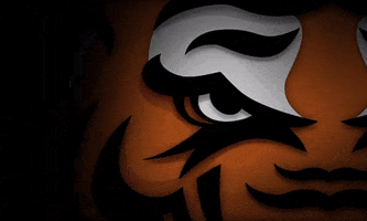 Hungry Eye Of The Tiger GIF by Rawlings Tigers