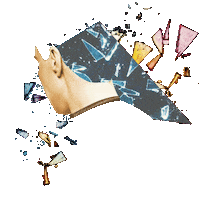 Filmfest Dresden Sticker