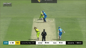 Devine GIF by Adelaide Strikers